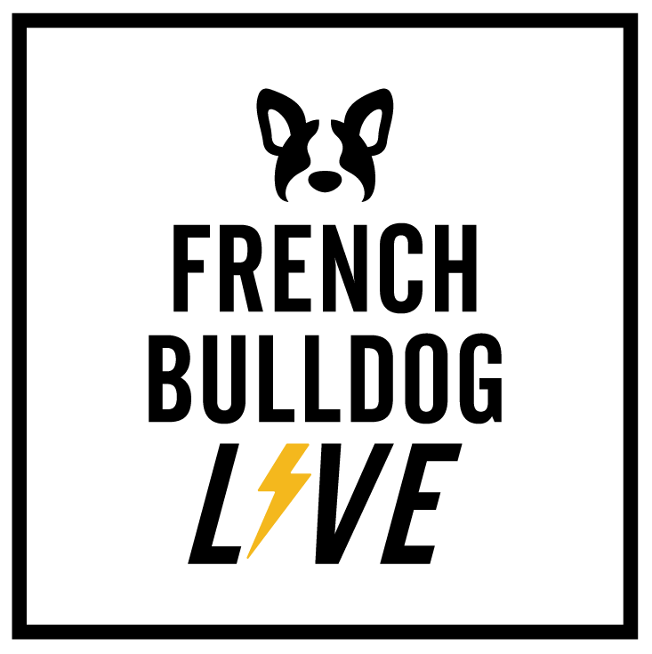 French Bulldog LIVE 2022 - 秋 - 参加チケット – フレブルライフ ストア