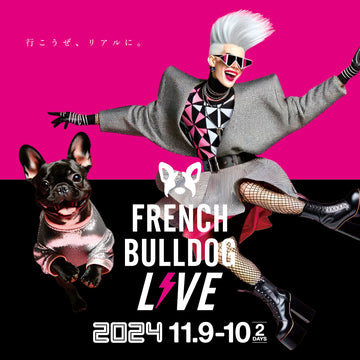 French Bulldog LIVE 2024 - 前売りチケット