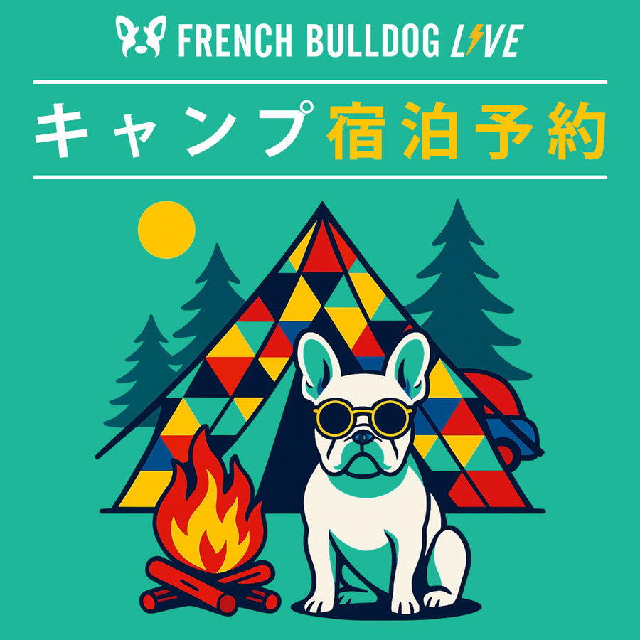 French Bulldog LIVE 2025 - キャンプ宿泊予約