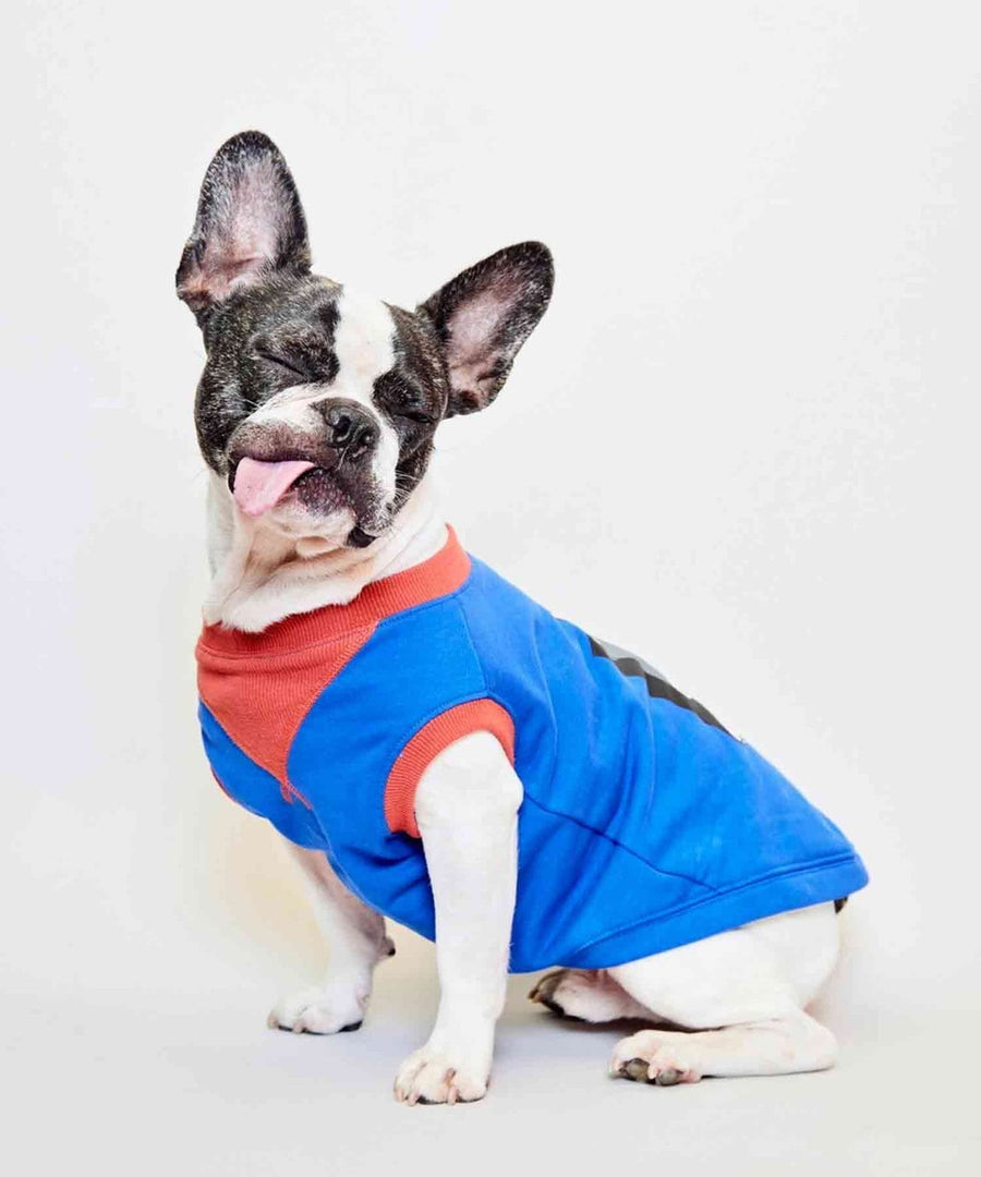 FRENCHIE DOG TANK【PEGION】