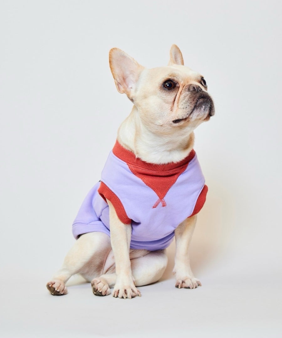 FRENCHIE DOG TANK【PEGION】