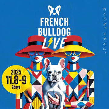 French Bulldog LIVE 2025 - 前売りチケット