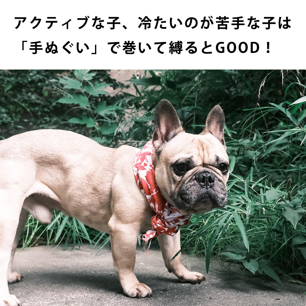 フレブル　キナリ　アイス枕カバー　15×25 フレブル キナリ アイス枕カバー 15×25 【公式通販】