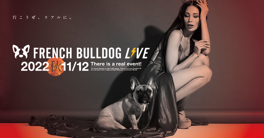 French Bulldog LIVE 2022 - 秋 - 参加チケット