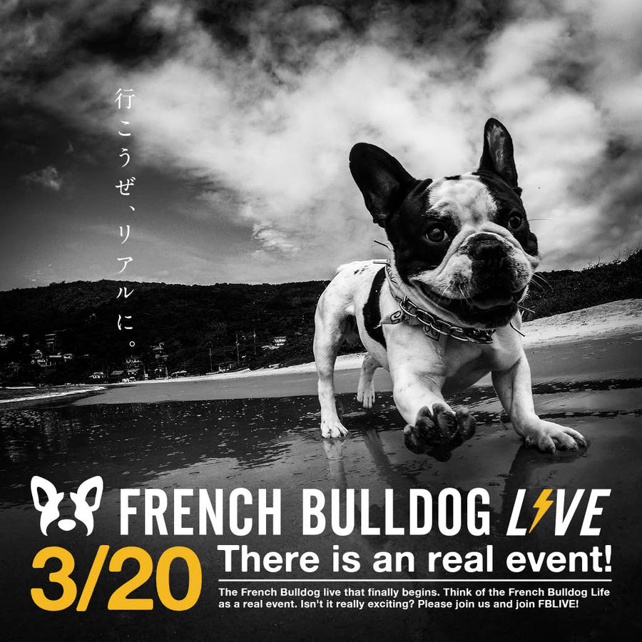 【イベントチケット】「French Bulldog LIVE」in FB愛2022