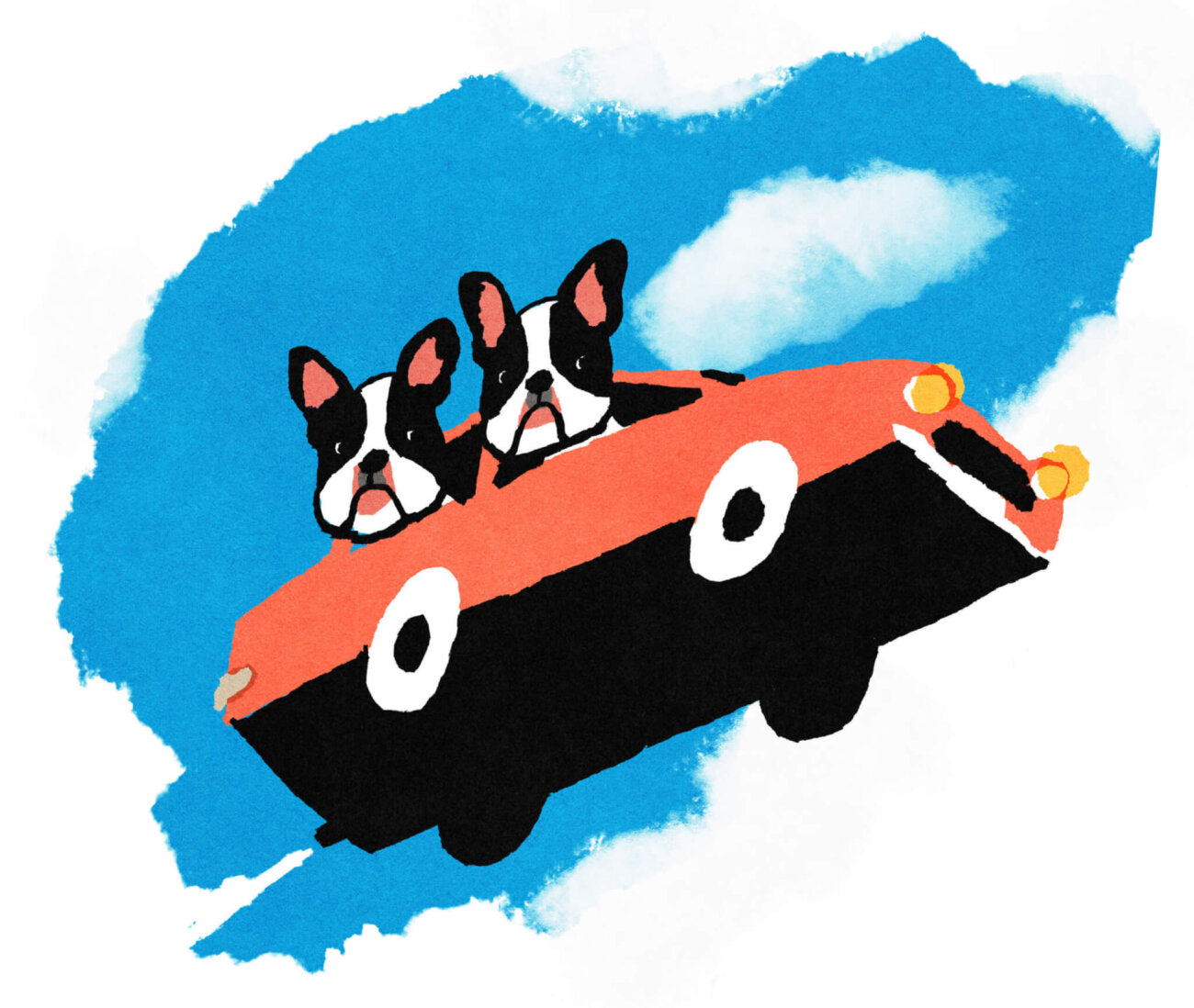 フラワープリント ポンチョ レインポンチョ【Kento IIDA × FRENCH BULLDOG LIFE