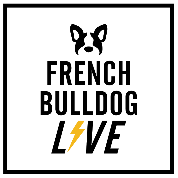 French Bulldog LIVE 2022 - 秋 - 参加チケット